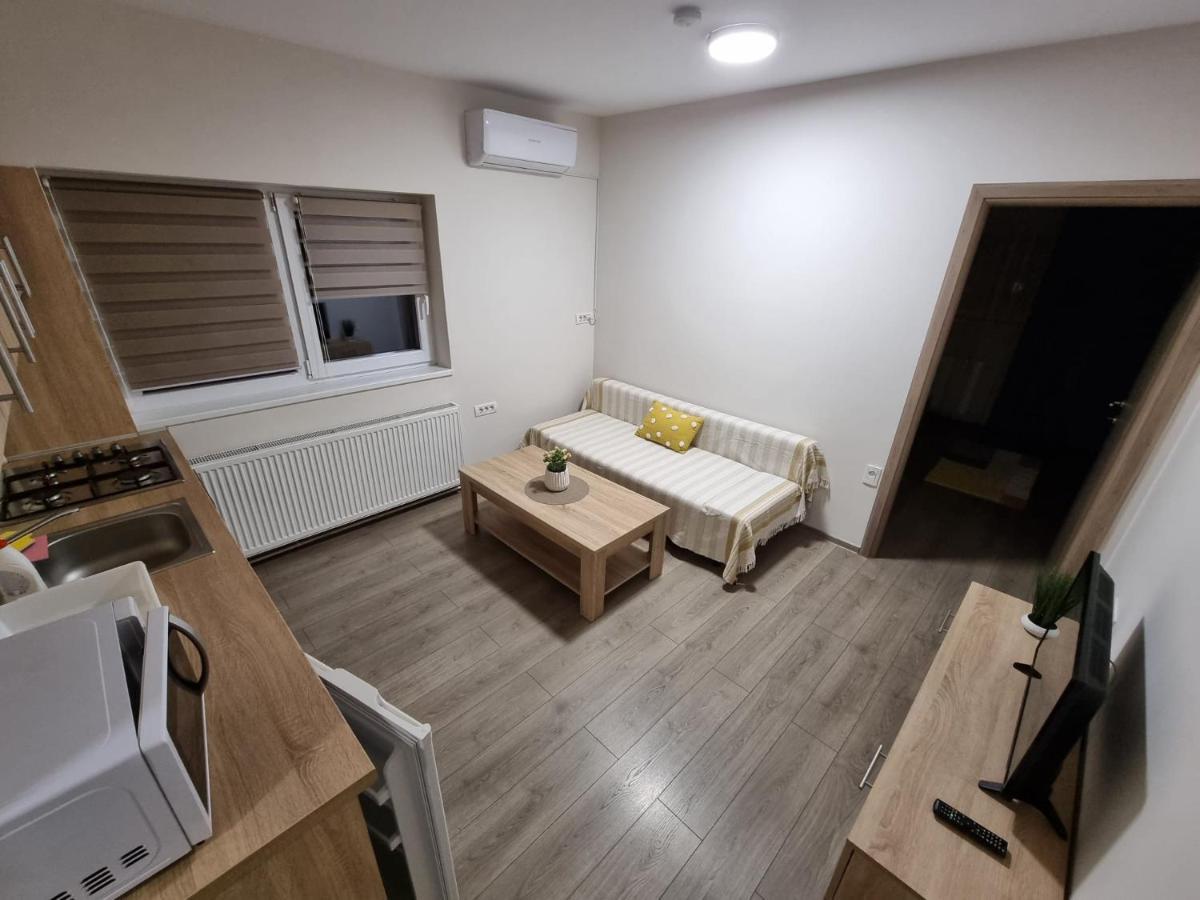 City Premium Apartments Тимишоара Экстерьер фото