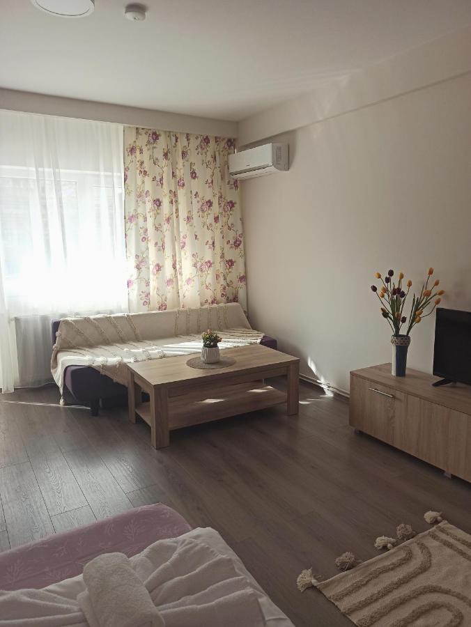 City Premium Apartments Тимишоара Экстерьер фото