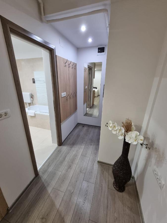 City Premium Apartments Тимишоара Экстерьер фото